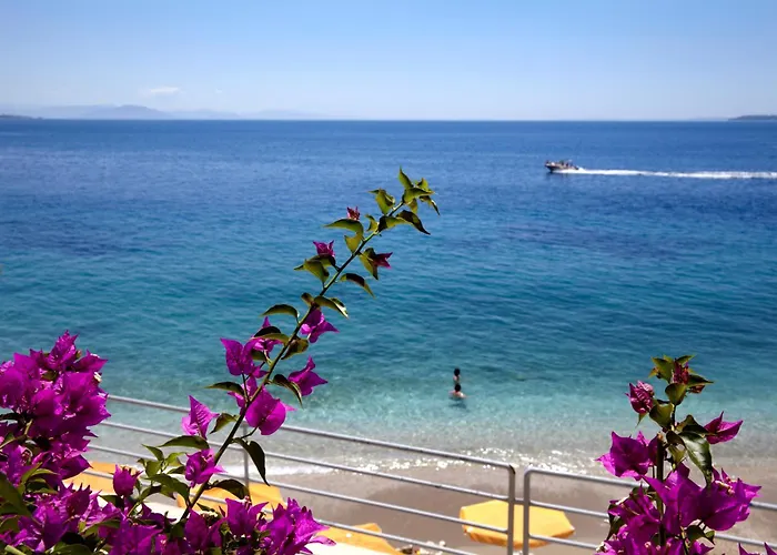 酒店 科孚岛阳光酒店及spa Nisaki (Corfu)