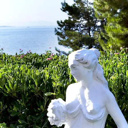 科孚岛阳光酒店及spa 酒店 Nisaki (Corfu)
