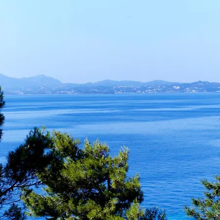 科孚岛阳光酒店及spa 4* Nisaki (Corfu)