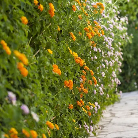 فندق Sunshine Corfu And 4*