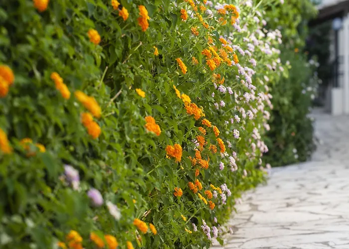 Hotel Sunshine Corfu And 4*